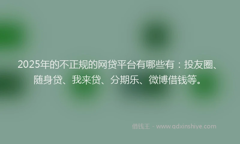 2025年的不正规的网贷平台有哪些有：投友圈、随身贷、我来贷、分期乐、微博借钱等。