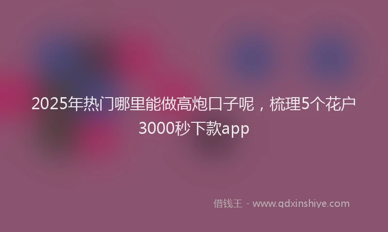 2025年热门哪里能做高炮口子呢，梳理5个花户3000秒下款app