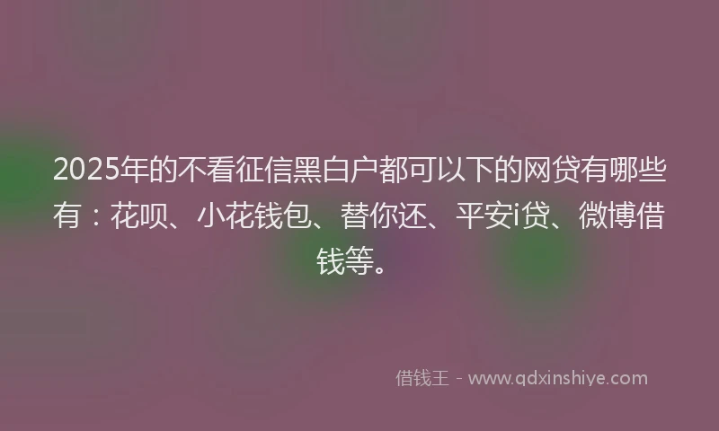 2025年的不看征信黑白户都可以下的网贷有哪些有：花呗、小花钱包、替你还、平安i贷、微博借钱等。