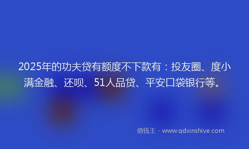 2025年的功夫贷有额度不下款有：投友圈、度小满金融、还呗、51人品贷、平安口袋银行等。
