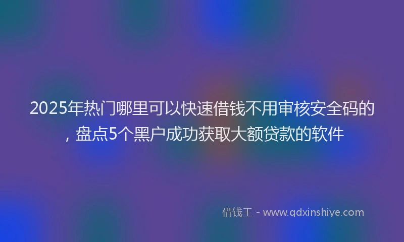 2025年热门哪里可以快速借钱不用审核安全码的，盘点5个黑户成功获取大额贷款的软件