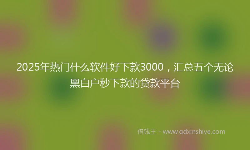 2025年热门什么软件好下款3000，汇总五个无论黑白户秒下款的贷款平台