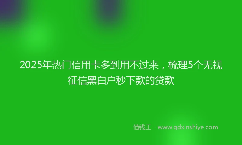 2025年热门信用卡多到用不过来，梳理5个无视征信黑白户秒下款的贷款