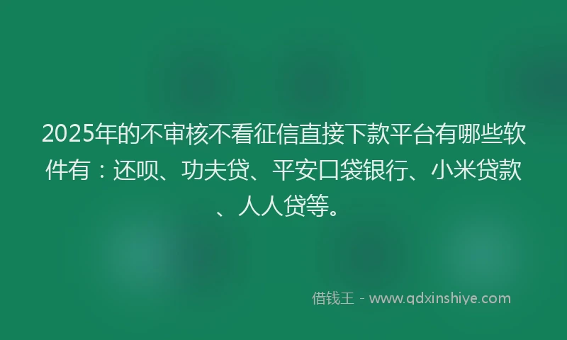 2025年的不审核不看征信直接下款平台有哪些软件有：还呗、功夫贷、平安口袋银行、小米贷款、人人贷等。
