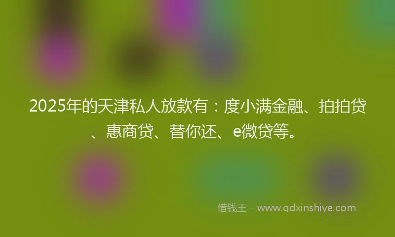 2025年的天津私人放款有：度小满金融、拍拍贷、惠商贷、替你还、e微贷等。