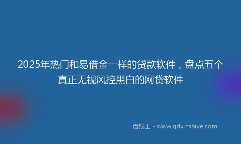 2025年热门和易借金一样的贷款软件，盘点五个真正无视风控黑白的网贷软件