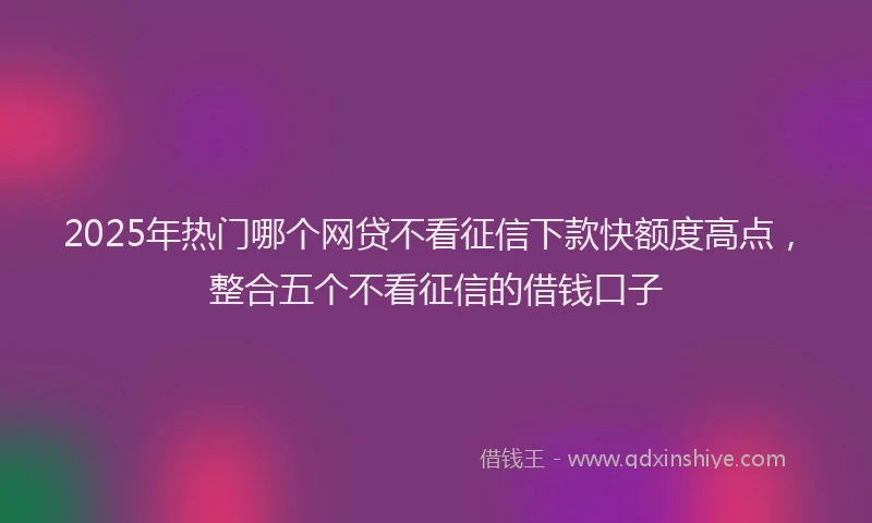 2025年热门哪个网贷不看征信下款快额度高点，整合五个不看征信的借钱口子