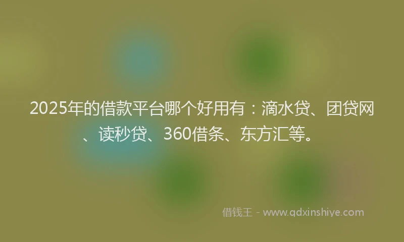 2025年的借款平台哪个好用有：滴水贷、团贷网、读秒贷、360借条、东方汇等。