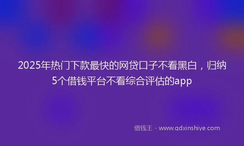 2025年热门下款最快的网贷口子不看黑白，归纳5个借钱平台不看综合评估的app