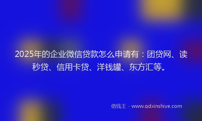 2025年的企业微信贷款怎么申请有：团贷网、读秒贷、信用卡贷、洋钱罐、东方汇等。