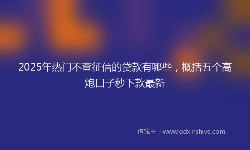 2025年热门不查征信的贷款有哪些，概括五个高炮口子秒下款最新