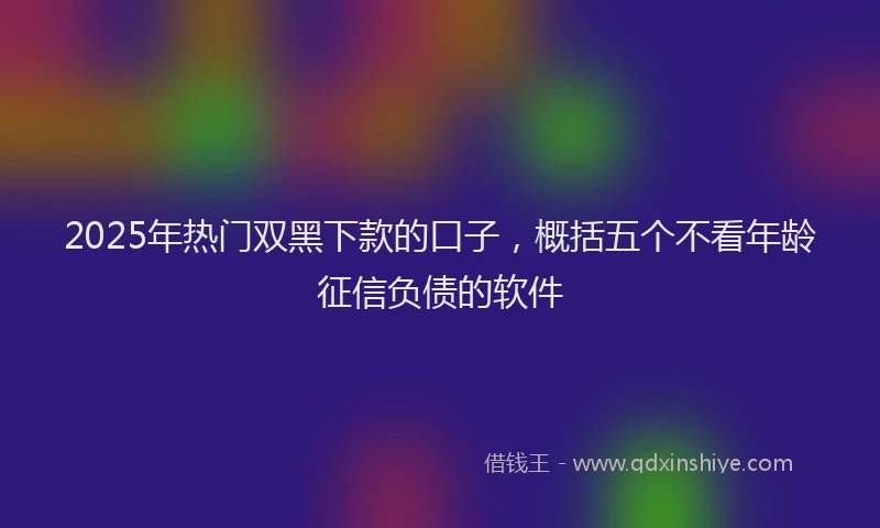 2025年热门双黑下款的口子，概括五个不看年龄征信负债的软件