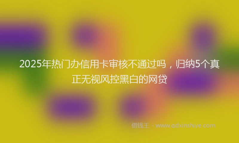 2025年热门办信用卡审核不通过吗，归纳5个真正无视风控黑白的网贷