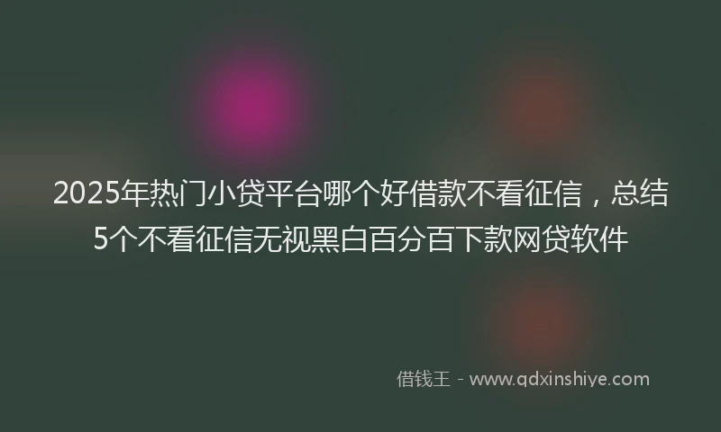 2025年热门小贷平台哪个好借款不看征信，总结5个不看征信无视黑白百分百下款网贷软件