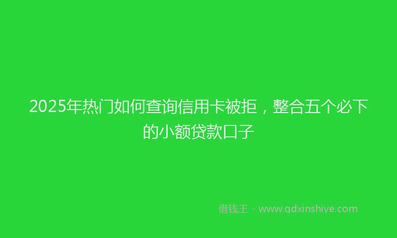 2025年热门如何查询信用卡被拒，整合五个必下的小额贷款口子