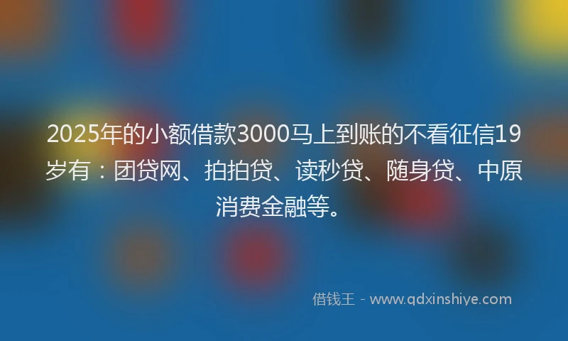 2025年的小额借款3000马上到账的不看征信19岁有：团贷网、拍拍贷、读秒贷、随身贷、中原消费金融等。