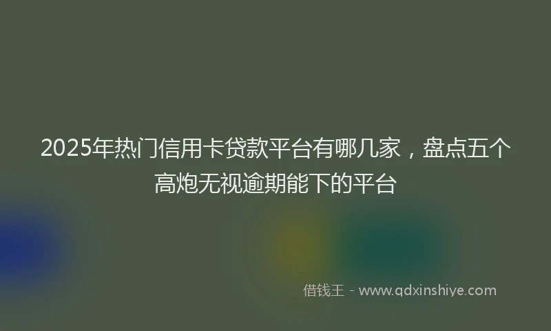 2025年热门信用卡贷款平台有哪几家，盘点五个高炮无视逾期能下的平台
