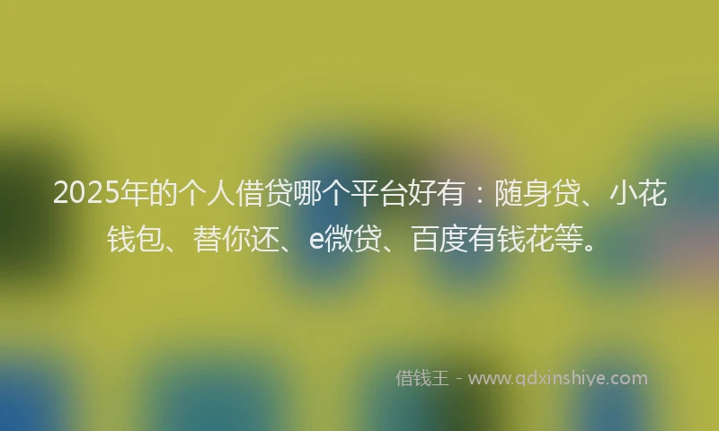 2025年的个人借贷哪个平台好有：随身贷、小花钱包、替你还、e微贷、百度有钱花等。