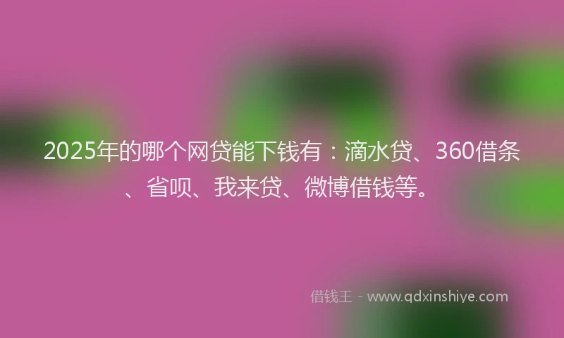 2025年的哪个网贷能下钱有：滴水贷、360借条、省呗、我来贷、微博借钱等。