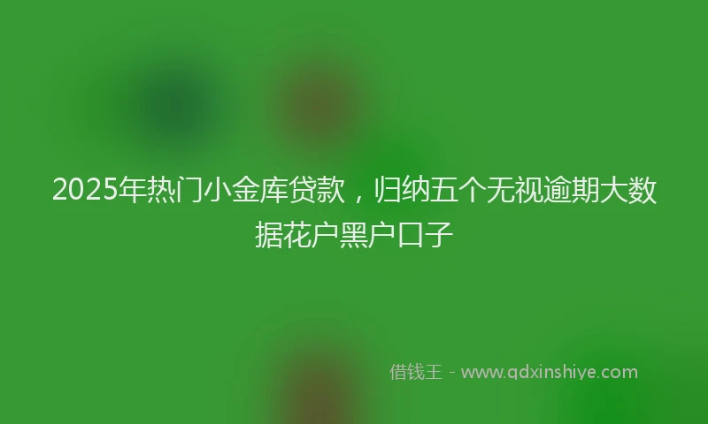 2025年热门小金库贷款，归纳五个无视逾期大数据花户黑户口子