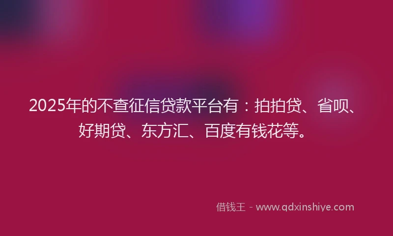 2025年的不查征信贷款平台有：拍拍贷、省呗、好期贷、东方汇、百度有钱花等。