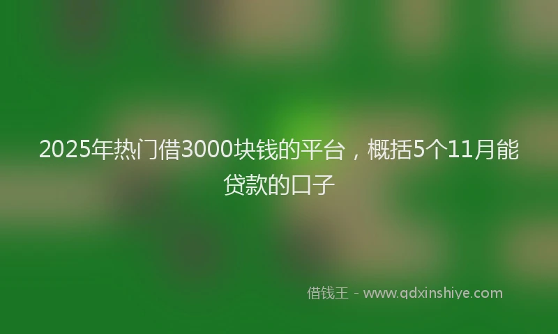 2025年热门借3000块钱的平台，概括5个11月能贷款的口子