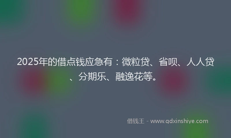 2025年的借点钱应急有：微粒贷、省呗、人人贷、分期乐、融逸花等。