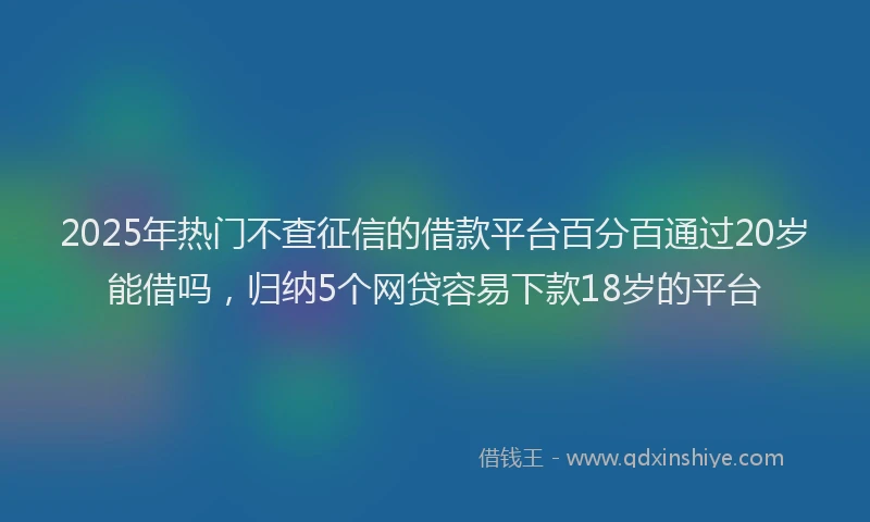 2025年热门不查征信的借款平台百分百通过20岁能借吗，归纳5个网贷容易下款18岁的平台