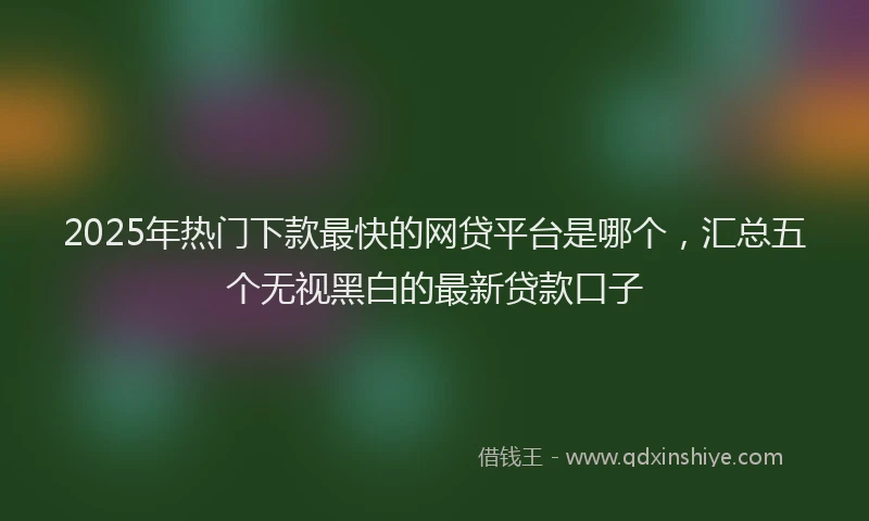 2025年热门下款最快的网贷平台是哪个，汇总五个无视黑白的最新贷款口子