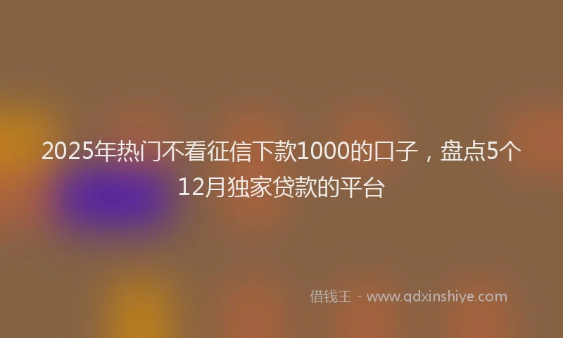 2025年热门不看征信下款1000的口子，盘点5个12月独家贷款的平台