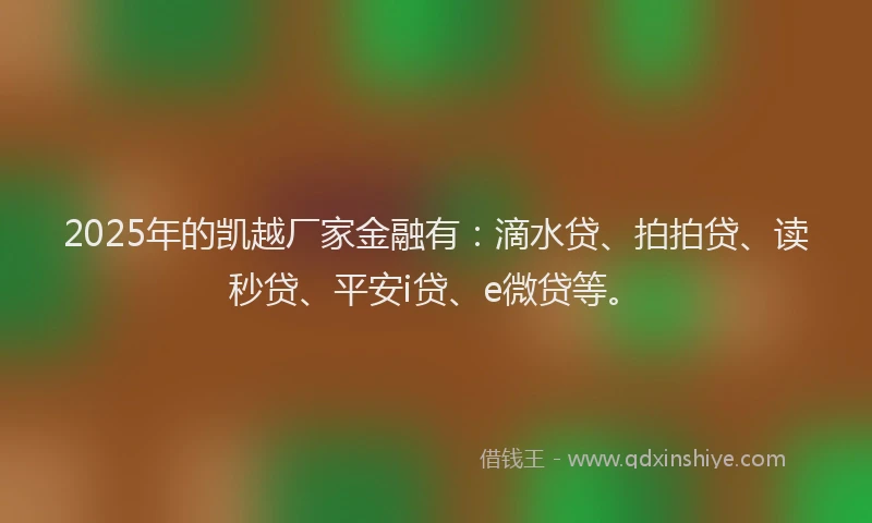 2025年的凯越厂家金融有：滴水贷、拍拍贷、读秒贷、平安i贷、e微贷等。