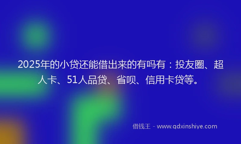 2025年的小贷还能借出来的有吗有：投友圈、超人卡、51人品贷、省呗、信用卡贷等。