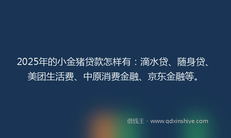 2025年的小金猪贷款怎样有:滴水贷、随身贷、美团生活费、中原消费金融、京东金融等。