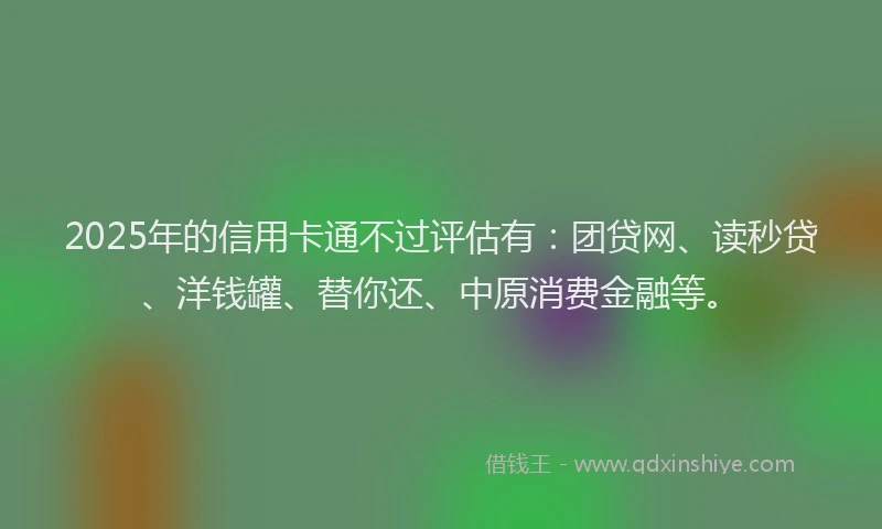 2025年的信用卡通不过评估有：团贷网、读秒贷、洋钱罐、替你还、中原消费金融等。