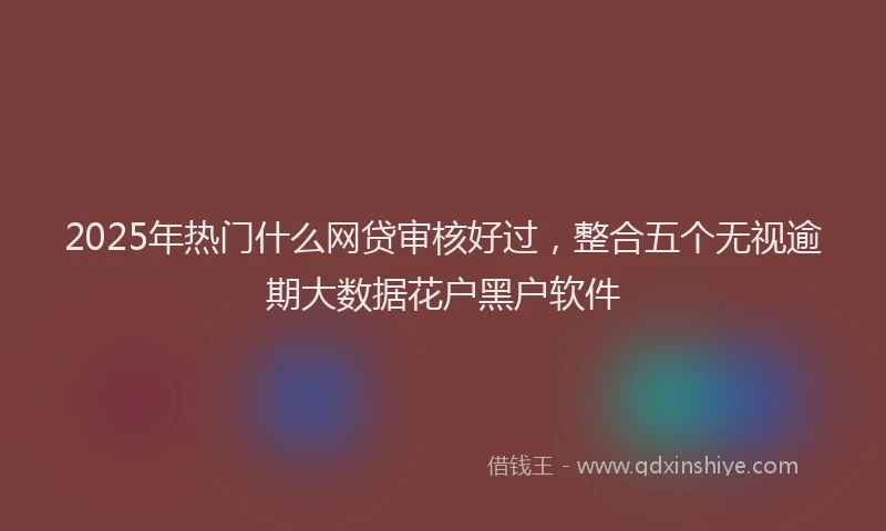 2025年热门什么网贷审核好过，整合五个无视逾期大数据花户黑户软件