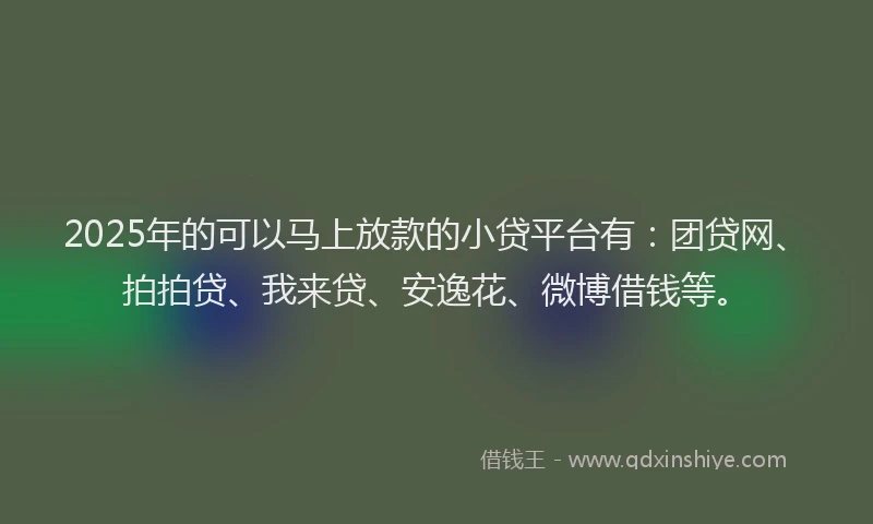 2025年的可以马上放款的小贷平台有：团贷网、拍拍贷、我来贷、安逸花、微博借钱等。