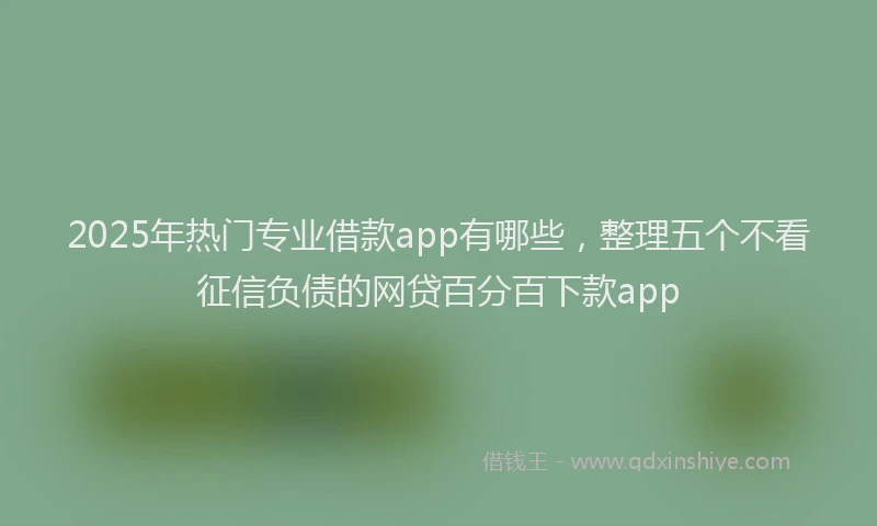 2025年热门专业借款app有哪些，整理五个不看征信负债的网贷百分百下款app