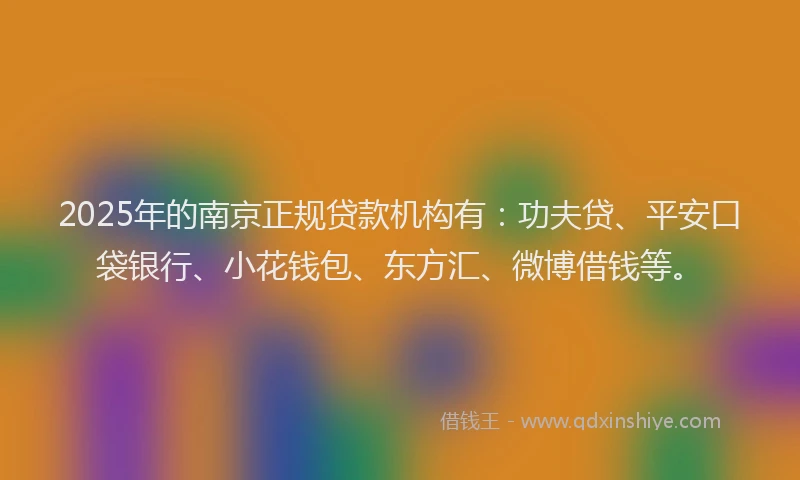 2025年的南京正规贷款机构有：功夫贷、平安口袋银行、小花钱包、东方汇、微博借钱等。