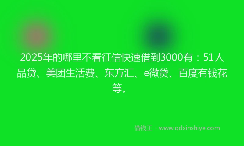 2025年的哪里不看征信快速借到3000有：51人品贷、美团生活费、东方汇、e微贷、百度有钱花等。