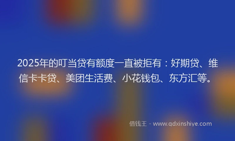 2025年的叮当贷有额度一直被拒有：好期贷、维信卡卡贷、美团生活费、小花钱包、东方汇等。