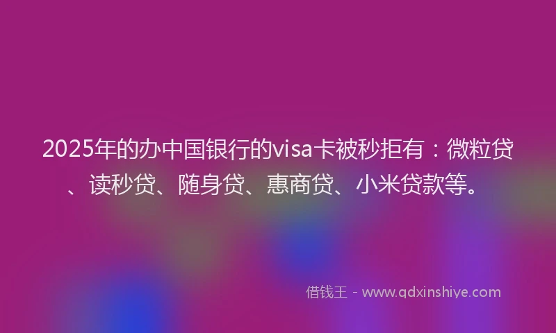 2025年的办中国银行的visa卡被秒拒有：微粒贷、读秒贷、随身贷、惠商贷、小米贷款等。