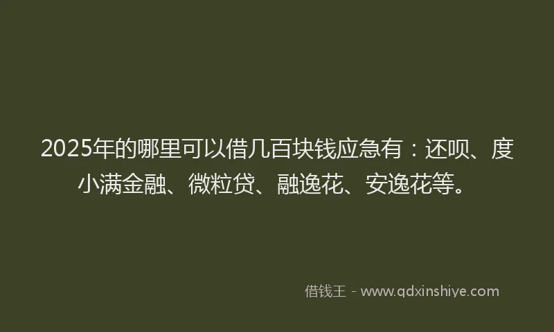2025年的哪里可以借几百块钱应急有：还呗、度小满金融、微粒贷、融逸花、安逸花等。