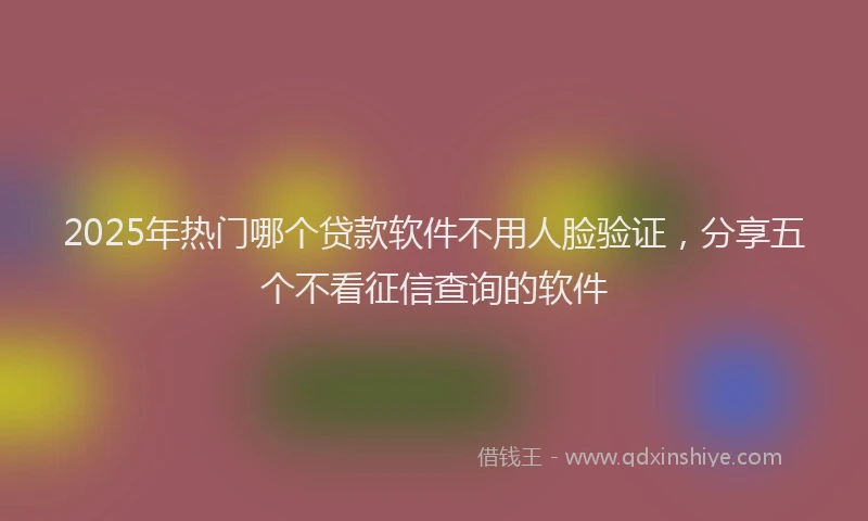 2025年热门哪个贷款软件不用人脸验证，分享五个不看征信查询的软件