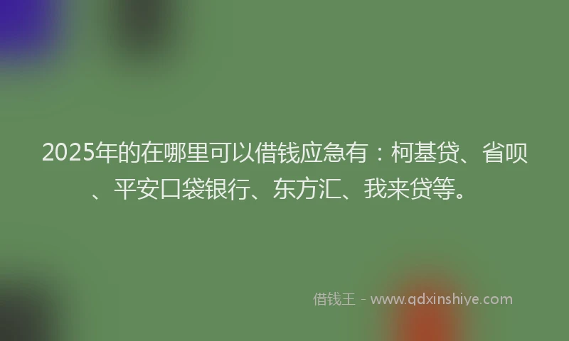 2025年的在哪里可以借钱应急有：柯基贷、省呗、平安口袋银行、东方汇、我来贷等。