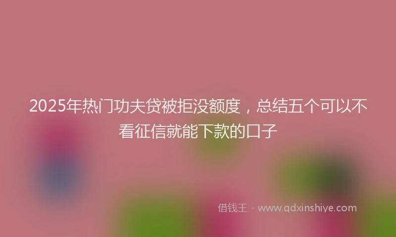 2025年热门功夫贷被拒没额度，总结五个可以不看征信就能下款的口子