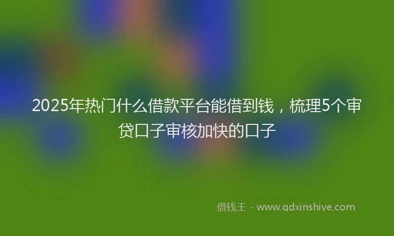2025年热门什么借款平台能借到钱，梳理5个审贷口子审核加快的口子