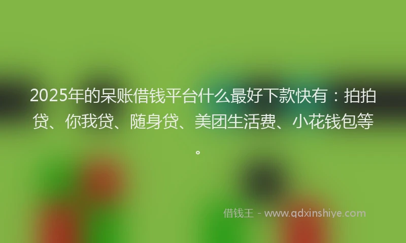 2025年的呆账借钱平台什么最好下款快有：拍拍贷、你我贷、随身贷、美团生活费、小花钱包等。