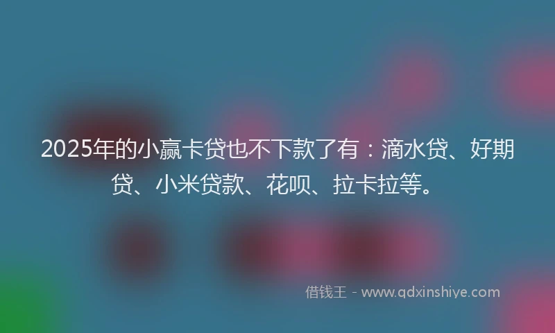 2025年的小赢卡贷也不下款了有：滴水贷、好期贷、小米贷款、花呗、拉卡拉等。