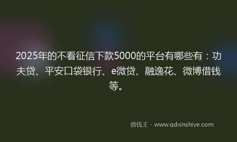 2025年的不看征信下款5000的平台有哪些有：功夫贷、平安口袋银行、e微贷、融逸花、微博借钱等。