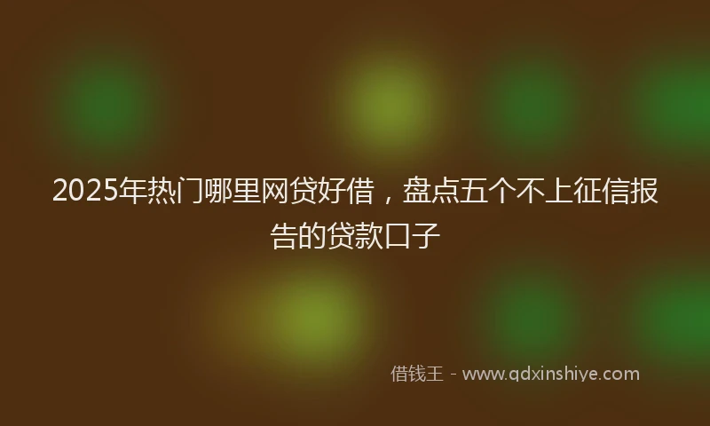 2025年热门哪里网贷好借，盘点五个不上征信报告的贷款口子